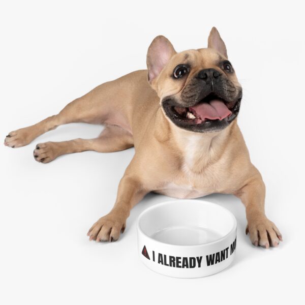 Funny Pet Bowl - 'I Already Want More' | Playful Dish for Dogs & Cats - Image 6